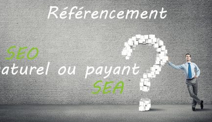 Référencement naturel ou payant pour votre site internet